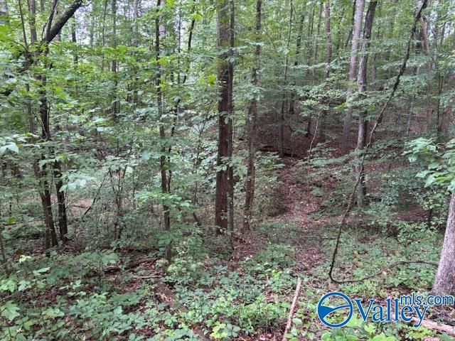 124 Cedar Lane, Reece City, AL 35954