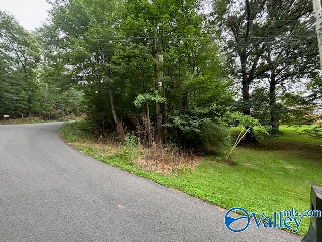 124 Cedar Lane, Reece City, AL 35954