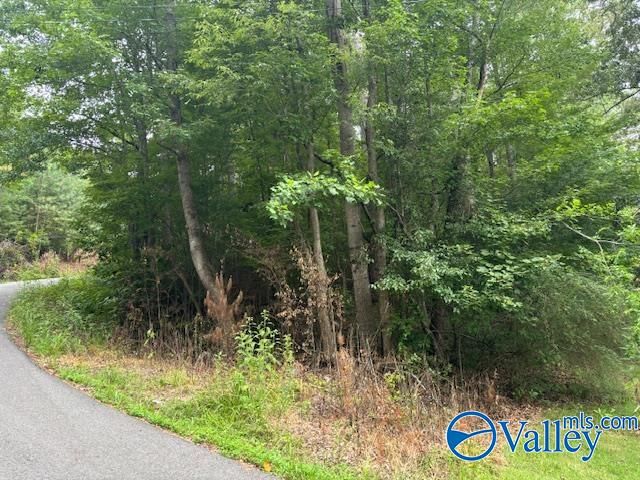 124 Cedar Lane, Reece City, AL 35954