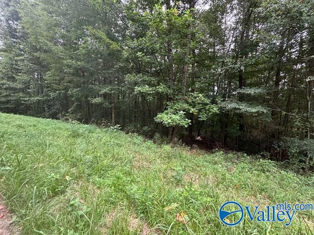 124 Cedar Lane, Reece City, AL 35954