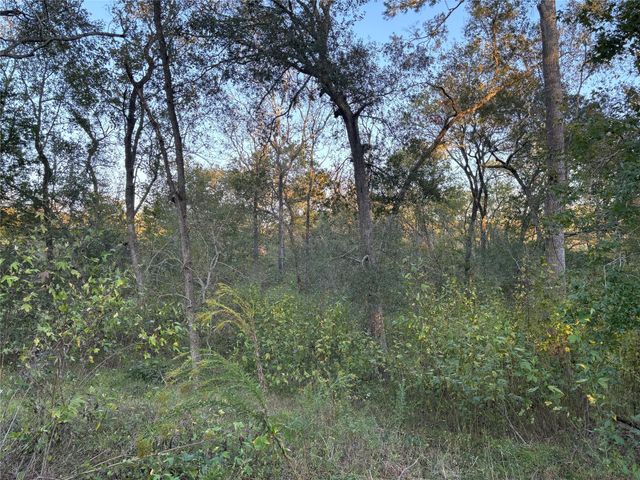 119 County Road 4533, Dayton, TX 77535