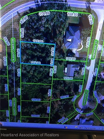 9208 Sleepy Oaks Drive, Sebring, FL 33875