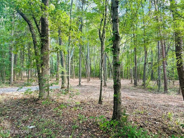Tract 5 Pleasant Hill Road, Ten Mile, TN 37880