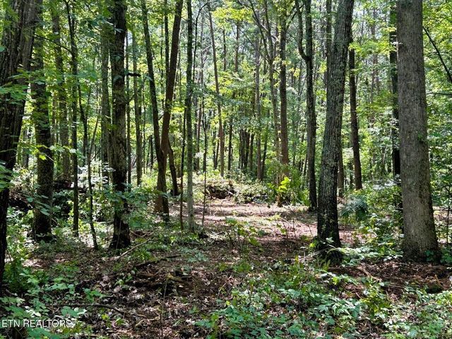 Tract 5 Pleasant Hill Road, Ten Mile, TN 37880