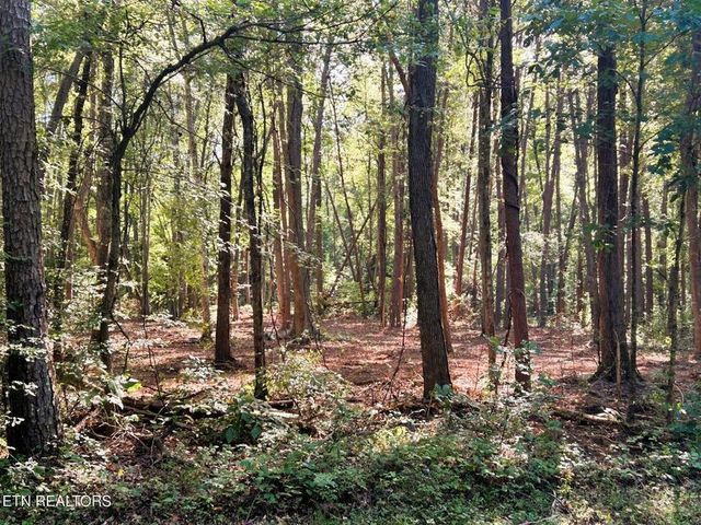 Tract 5 Pleasant Hill Road, Ten Mile, TN 37880