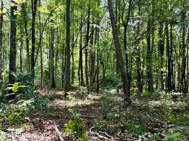 Tract 5 Pleasant Hill Road, Ten Mile, TN 37880