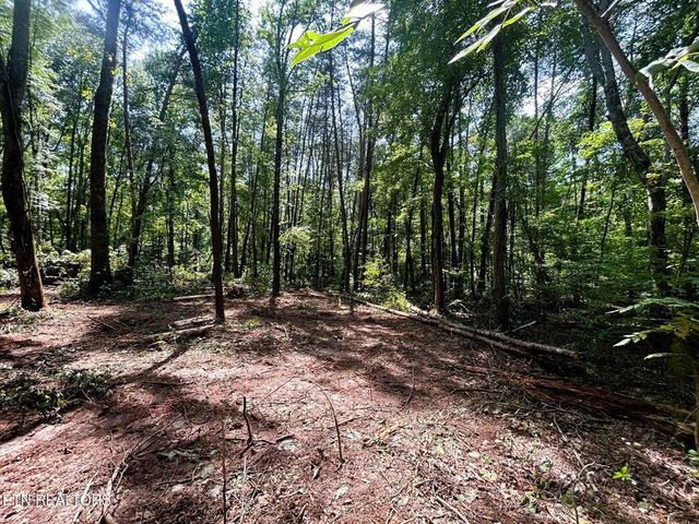 Tract 5 Pleasant Hill Road, Ten Mile, TN 37880