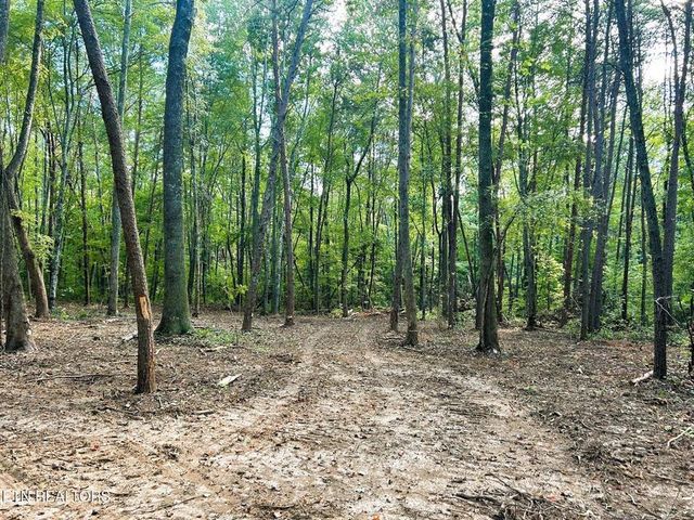 Tract 5 Pleasant Hill Road, Ten Mile, TN 37880