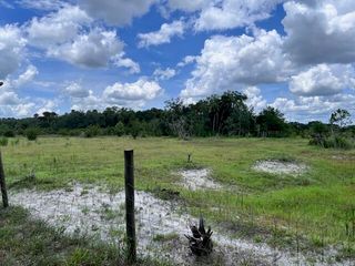 15422 NW 296th Street, Okeechobee, FL 34972
