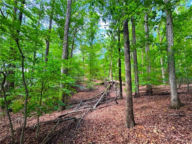 312 Bertha Allen Road, Westminster, SC 29693
