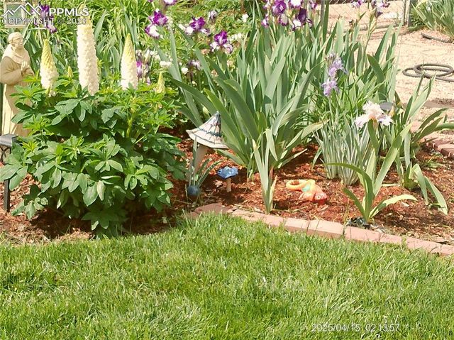 2125 Mount Werner Court, Colorado Springs, CO 80905