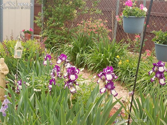 2125 Mount Werner Court, Colorado Springs, CO 80905