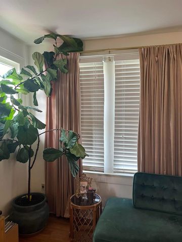 2519 Stevens Street, Houston, TX 77026