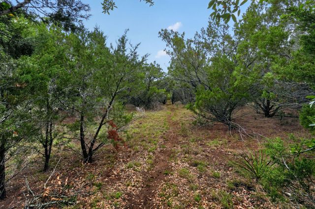 270 Rambling Oaks DR, Wimberley, TX 78676