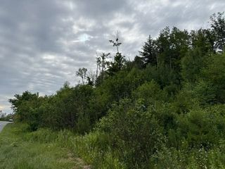 0 Route 15, Wolcott, VT 05680