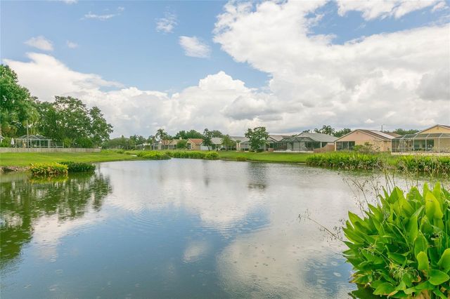 11520 WELLMAN DRIVE, Riverview, FL 33578
