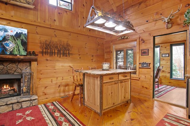 143 Kaely Drive, Mineral Bluff, GA 30559