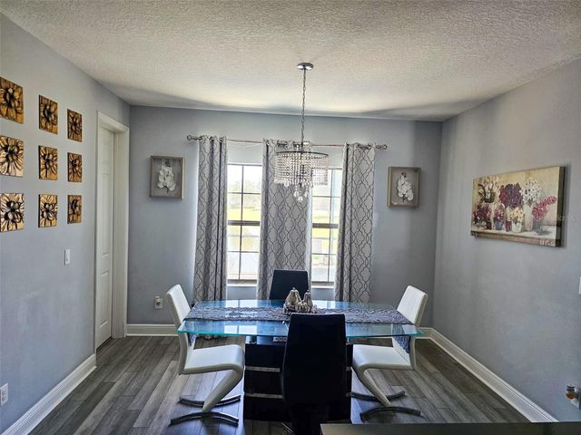 12860 SATIN LILY DRIVE, Riverview, FL 33579