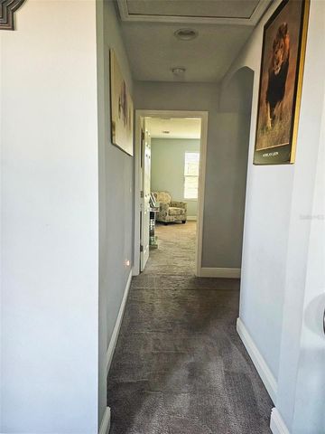 12860 SATIN LILY DRIVE, Riverview, FL 33579