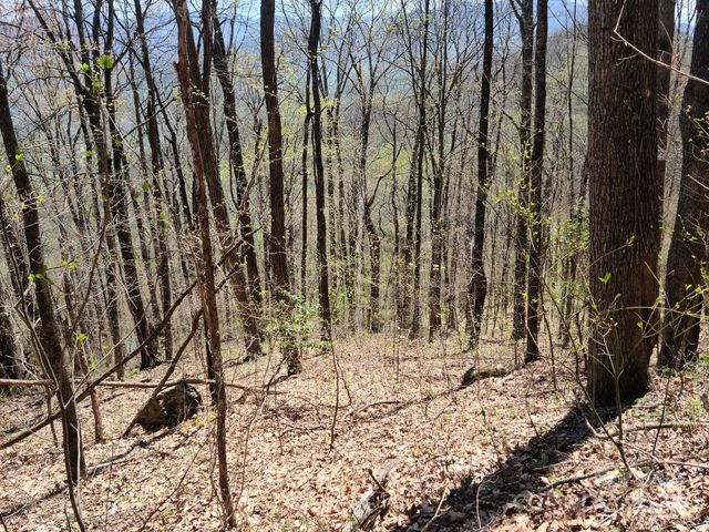 000 Skyline Drive, Waynesville, NC 28786