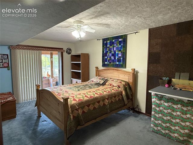 741 Elfin Glen Drive, Divide, CO 80814