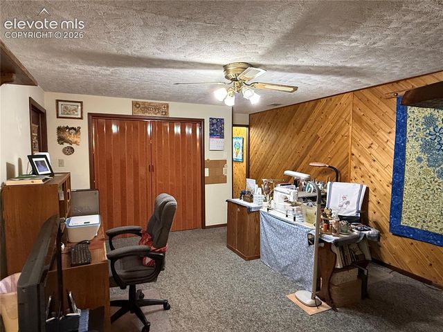741 Elfin Glen Drive, Divide, CO 80814