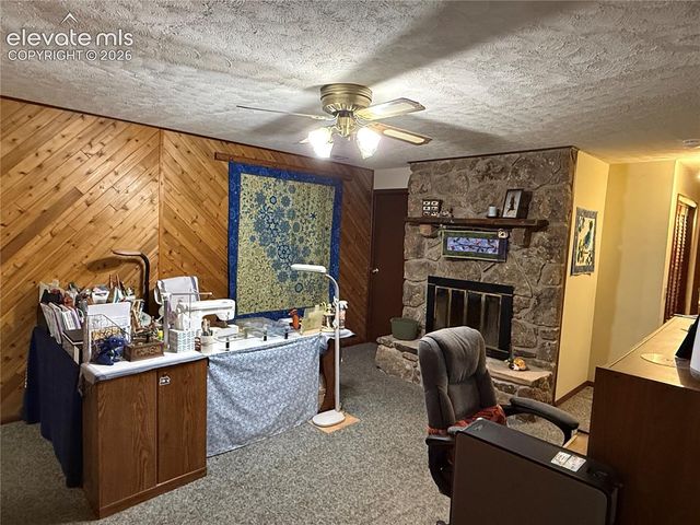 741 Elfin Glen Drive, Divide, CO 80814