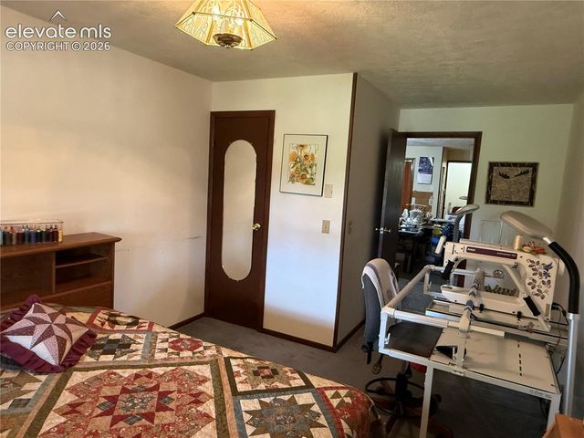 741 Elfin Glen Drive, Divide, CO 80814