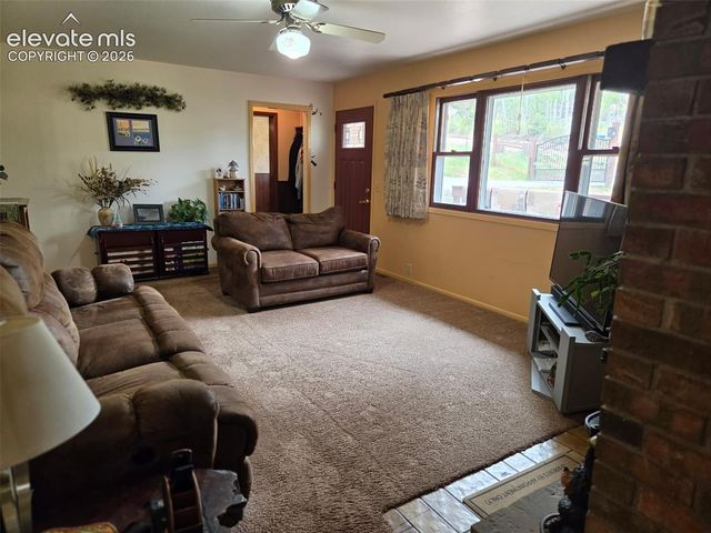 741 Elfin Glen Drive, Divide, CO 80814