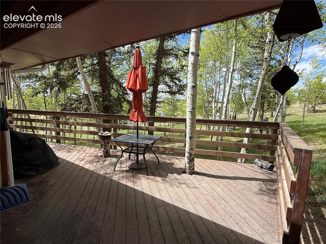 741 Elfin Glen Drive, Divide, CO 80814