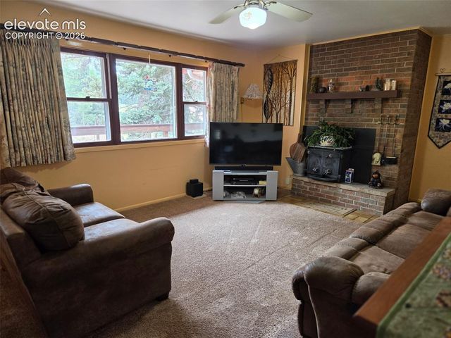 741 Elfin Glen Drive, Divide, CO 80814