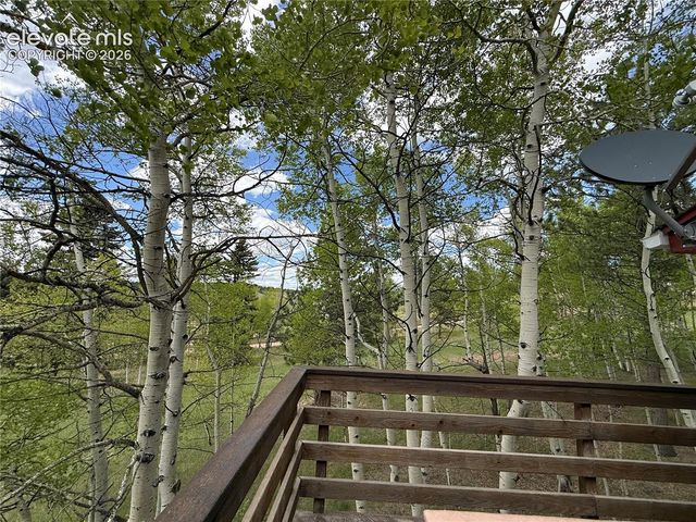 741 Elfin Glen Drive, Divide, CO 80814
