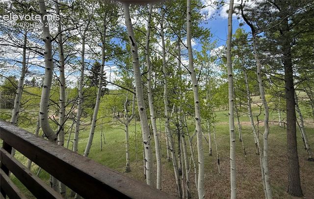 741 Elfin Glen Drive, Divide, CO 80814