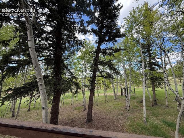 741 Elfin Glen Drive, Divide, CO 80814