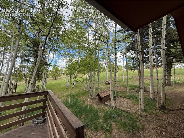 741 Elfin Glen Drive, Divide, CO 80814
