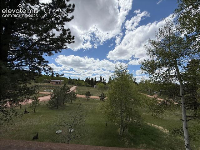 741 Elfin Glen Drive, Divide, CO 80814