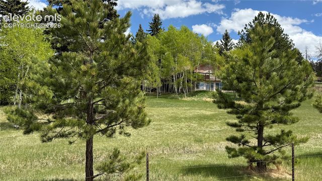 741 Elfin Glen Drive, Divide, CO 80814