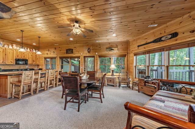 1150 Mountain High Drive, Mineral Bluff, GA 30559