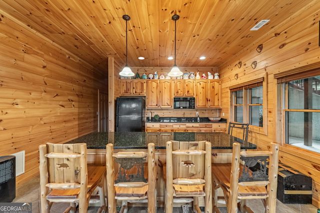 1150 Mountain High Drive, Mineral Bluff, GA 30559