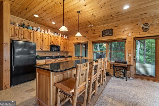 1150 Mountain High Drive, Mineral Bluff, GA 30559