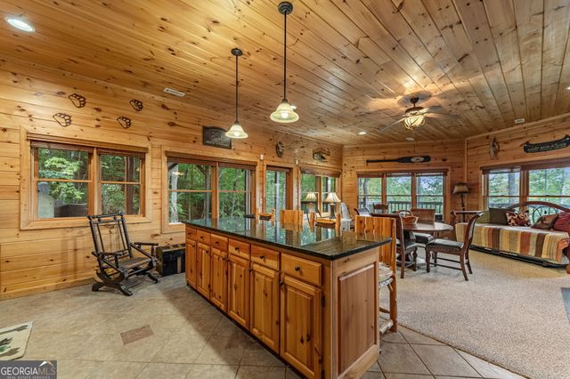 1150 Mountain High Drive, Mineral Bluff, GA 30559