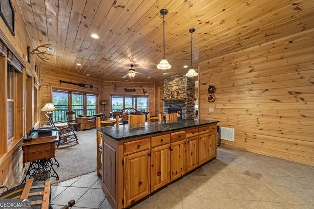 1150 Mountain High Drive, Mineral Bluff, GA 30559