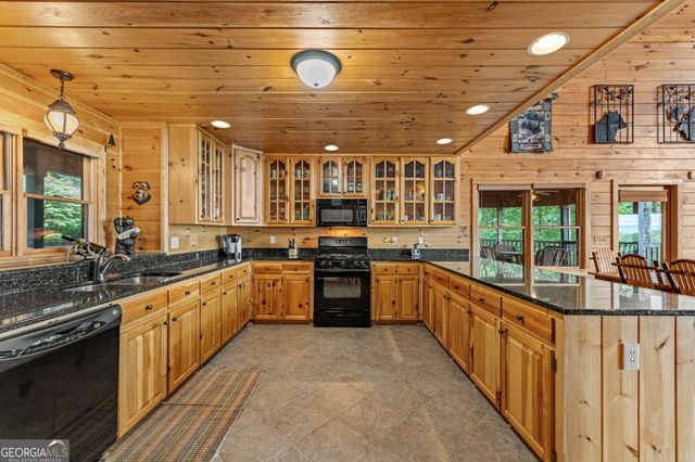 1150 Mountain High Drive, Mineral Bluff, GA 30559