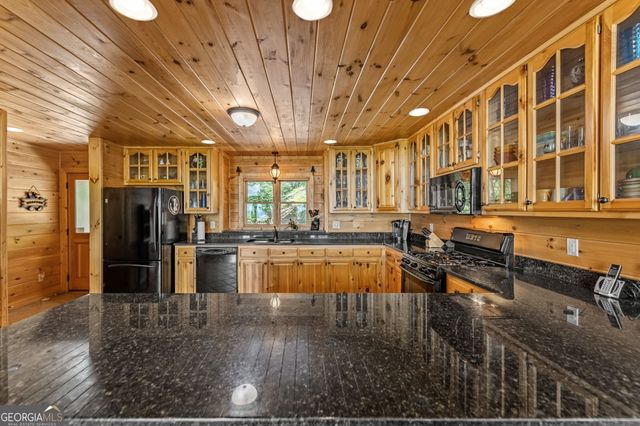 1150 Mountain High Drive, Mineral Bluff, GA 30559