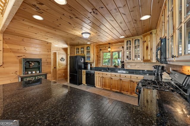1150 Mountain High Drive, Mineral Bluff, GA 30559