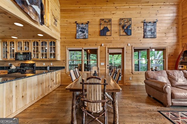 1150 Mountain High Drive, Mineral Bluff, GA 30559