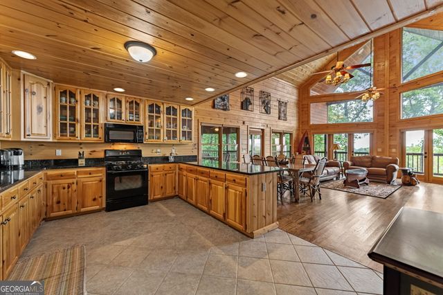 1150 Mountain High Drive, Mineral Bluff, GA 30559