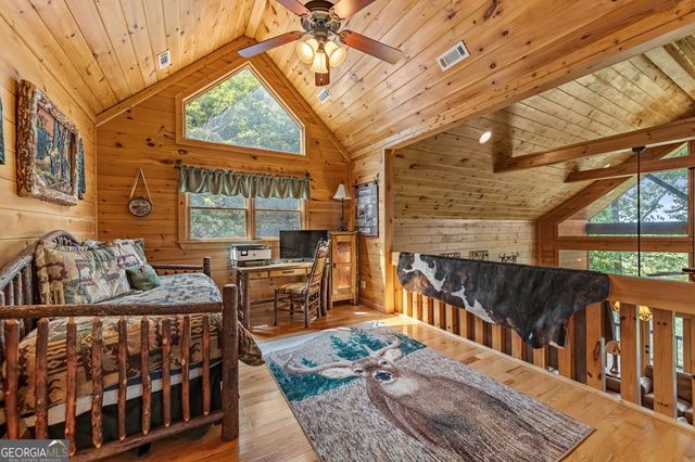 1150 Mountain High Drive, Mineral Bluff, GA 30559