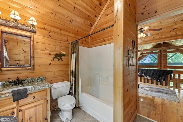 1150 Mountain High Drive, Mineral Bluff, GA 30559