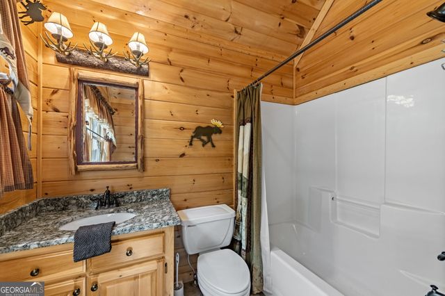 1150 Mountain High Drive, Mineral Bluff, GA 30559